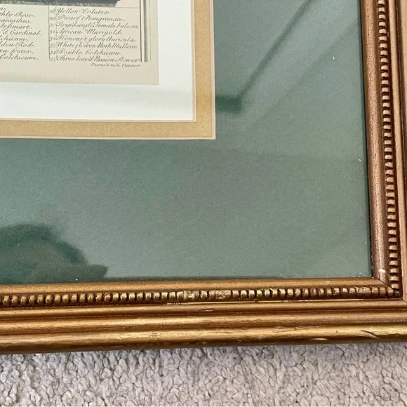 2 Framed Matted Vintage Floral Flower Botanical Bouquet Prints Litho Robert Furb - Picture 10 of 14